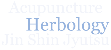 Acupuncture Herbology Jin Shin Jyutsu